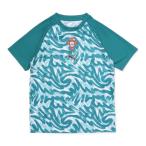  Puma Kids * ребенок футбол / футзал лицензия рубашка 2026 Portugal представитель pre Match Junior короткий рукав футболка FPF PM SS рубашка JR 784789 PUMA
