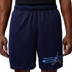  Jordan мужской дамский баскетбол одежда шорты SPT Dri-FIT сетка графика шорты IF0872-410 : темно-синий JORDAN