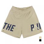インザペイント メンズ レディス バスケットボール ハーフパンツ スポーツデポ・アルペン限定SHORTS ITP2614ALP ショーツ バスパン IN THE PAINT