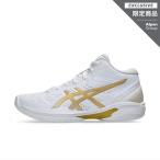 ショッピングasics アシックス GELHOOP V16 ゲルフープ V16 アルペン限定カラー 1063A092 メンズ レディス バスケットボール シューズ バッシュ 2E asics