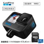 GoPro HERO10 Black CHDHX-101-FW ゴープロ ヒーロー10 ブラック 国内正規品 ゴープロ10 GoPro