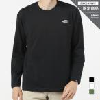 2022秋冬 ザ・ノース・フェイス メンズ アウトドア 長袖Tシャツ L/S TNF Logo Tee NT82231AP THE NORTH FACE