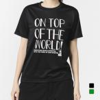 ディズニー レディース 半袖 Tシャツ 冷感UVドライTシャツ タイポ DN-9C22044TS スポーツウェア Disney