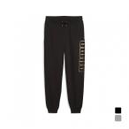  Puma мужской тренировочный длинные брюки MAXIMAL METALLIC тренировочный PT FL 634677 спорт одежда Alpen * спорт склад ограничение PUMA