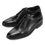 マドラスモデーロDM8102カバロ...