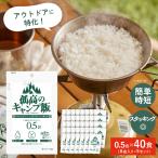 孤高のキャンプ飯 0.5合×40袋 無洗米 ごはん アウトドア キャンプ おいしい キャンプ飯 一人用 つけ置き不要 非常食  国産米 登山飯 行動食