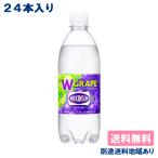 アサヒ ウィルキンソン ダブルグレープ 炭酸水 強炭酸 500ml x 24本 送料無料