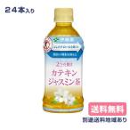 トクホ 特定保健用食品 カテキン ジャスミン茶 2つの働き 伊藤園 350ml x 24本 送料無料