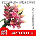 赤系ユリの花束25輪 　オリエンタルリリー　お誕生日 入学祝い 出産祝い ゆり 百合