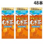 健康ミネラル麦茶 紙パック 250ml 48�
