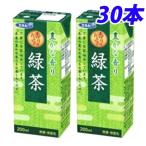 緑茶 200ml 30本 エルビー お茶
