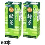 緑茶 200ml 60本 エルビー お茶 『送料無料（一部地域除く）』