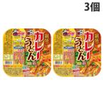 五木食品 鍋焼カレーうどん 220g×3個 うどん インスタント食品 直火 レトルト 即席麺 麺類 食品