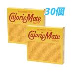 大塚製薬 カロリーメイト ブロック チョコレート味 4本×30個 『送料無料（一部地域除く）』