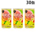 フルーツジュース 果実味わう 100%フルーツミックス 190g 30缶 サンガリア