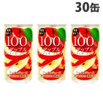 りんごジュース 果実味わう 100％アップル 190g 30缶 サンガリア