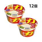 大黒食品 力うどん 100g×12個