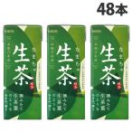 キリン 生茶 250ml×48本 飲料 KIRIN ジュース ペットボトル お茶 緑茶 日本茶