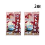 日東食品工業 しいたけ茶 7パック×3個