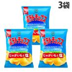 ポテトチップス 湖池屋 じゃがいもと塩 55g 3袋
