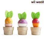  старт  King bejitabruz1 лет половина день рождения подарок ребенок игрушка ребенок мужчина девочка -