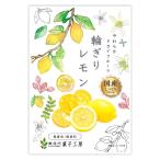 南信州菓子工房 国産輪切りレモン 24g ×10袋
