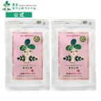 モリンガ乳酸菌プラス（300粒）２袋　送料無料！