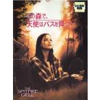  это лес ., ангел. автобус .... прокат б/у DVD
