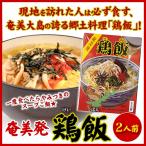 奄美大島 鶏飯 けいはん 鶏飯の素 2人前 タイセイ観光 スープごはん
