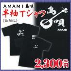 Tシャツ AMAMI島唄半袖Tシャツ 奄美大島 お土産