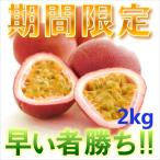 訳ありパッションフルーツ2kg パッションフルーツ2kg 時計草 奄美大島