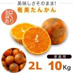 奄美大島 訳あり たんかん タンカン みかん ご家庭用 １０kg／2Ｌサイズ