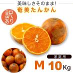 奄美大島 訳あり たんかん タンカン みかん ご家庭用 １０kg／Ｍサイズ