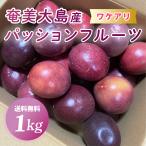  разделение есть Amami Ooshima производство маракуйя примерно 1kg для бытового использования C класса товар размер смешивание обработка для бесплатная доставка [ есть перевод царапина есть цвет пятно не комплект помятость ]