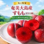 [ бесплатная доставка ] Amami Ooshima производство sumomo galali вид Amami слива M шар и больше 1kg~