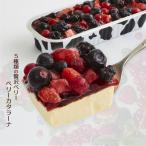 スイーツ 新発売 ベリーカタラーナ1本