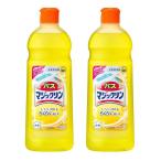 バスマジックリン (小) 485ml 浴室 掃除 【×2個セット】