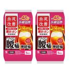 カイロ 桐灰 キリバイ 血流改善 腰ホットン 5枚入  【×2個セット】