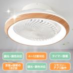 ショッピングファン [7%coupon先着50名]シーリングファンライト 360°首振り 1台2役 シーリングファン 首振り DCモーター 照明器具 調光調色 扇風機付き 天井ライト 12畳 工事不要