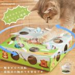  кошка ... нет |... выбивалка игрушка кошка электрический кошка игрушка один человек развлечение кошка ....mogla выбивалка симпатичный кошка. игрушка кошка .... автоматика box кошка двигаться игрушка 