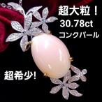 超希少！超大粒30ctコンクパール...