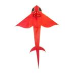 same. форма . сделал кайт большой размер лето легко .... наружный игра настоящий . кайт длинный кайт 