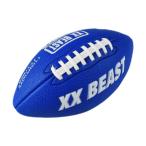 ラグビーボール ジム レクリエーシ�