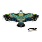  Eagle Shape кайт игра веселый 100m -тактный кольцо имеется путешествие party Hori te-160cmx72cm
