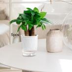 5個入り 自動給水式植木鉢 室内植物用 装飾 バー ファームハウス オフィス用 クリア 12x14.5cm