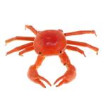  высококачественный . пятна . rate осуществлен глина. Random . цвет. животное модель игрушка, краб 