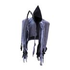  Halloween low b манто аксессуары ужасы . женщина накидка Thema party для мужской женский черный 