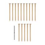 銅釘 木の切り株を殺す釘 実用的な