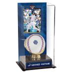 大谷翔平モデル 海外取寄 2024 ML