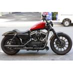  латунь wild narrow slash :2014~16 год спорт Star / чёрный / end нет 